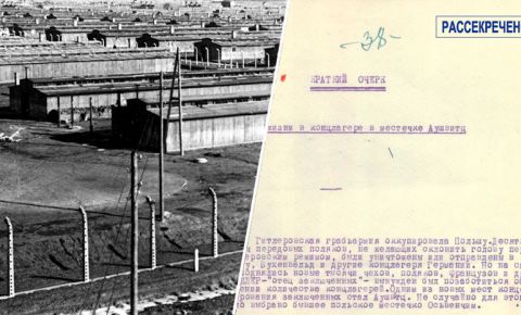 «Бывали дни, когда число сжигаемых достигало 30 тысяч»: ФСБ опубликовала воспоминания узника Освенцима