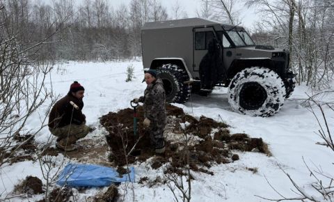 Подо Ржевом поисковики обнаружили останки пяти красноармейцев