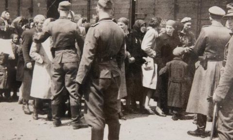 В Ростовском областном суде начался процесс о признании геноцидом действий фашистско-немецких войск и их пособников