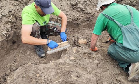 В окрестностях молдавского села Шерпены, были обнаружены останки двух погибших воинов Красной армии