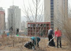 На Русском кладбище Улан-Батора прошел субботник