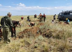 Останки 12 красноармейцев подняты в Волгоградской области