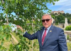 Посольство России в Австрии приняло участие в международной акции Сад Памяти
