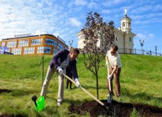 На территории, где ежегодно проходит ПМЭФ заложили «Аллею памяти»