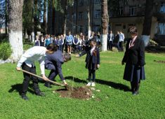 В Сухуми прошла международная акция «Сад Памяти»