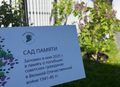 В Дании высадили кусты сирени в рамках Акции «Сад Памяти»